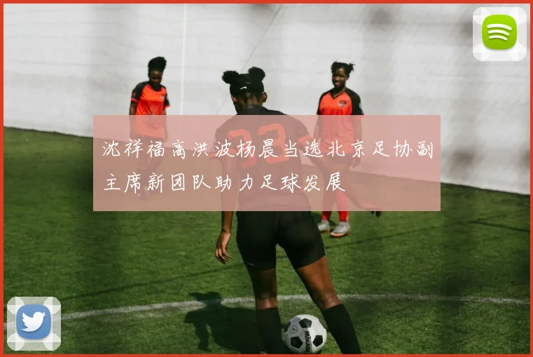 沈祥福高洪波杨晨当选北京足协副主席新团队助力足球发展