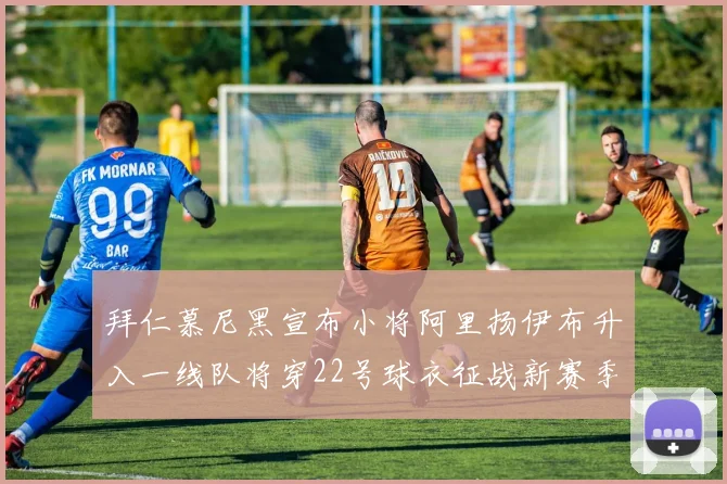 拜仁慕尼黑宣布小将阿里扬伊布升入一线队将穿22号球衣征战新赛季